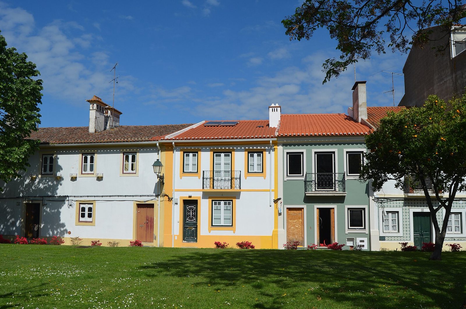 Row of two-storey houses with white, yellow and green walls and red tile roofs, seen from a lawn with an orange tree
