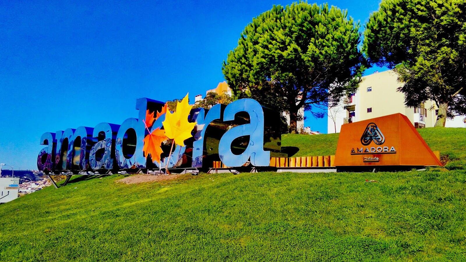 Large letters spelling Amadora on a lawn, with pine trees and a building behind