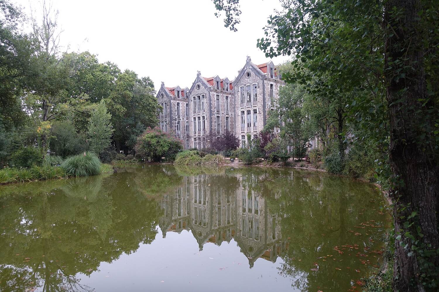Pond in a park surrounded by trees and, in the background, a large old building with many windows