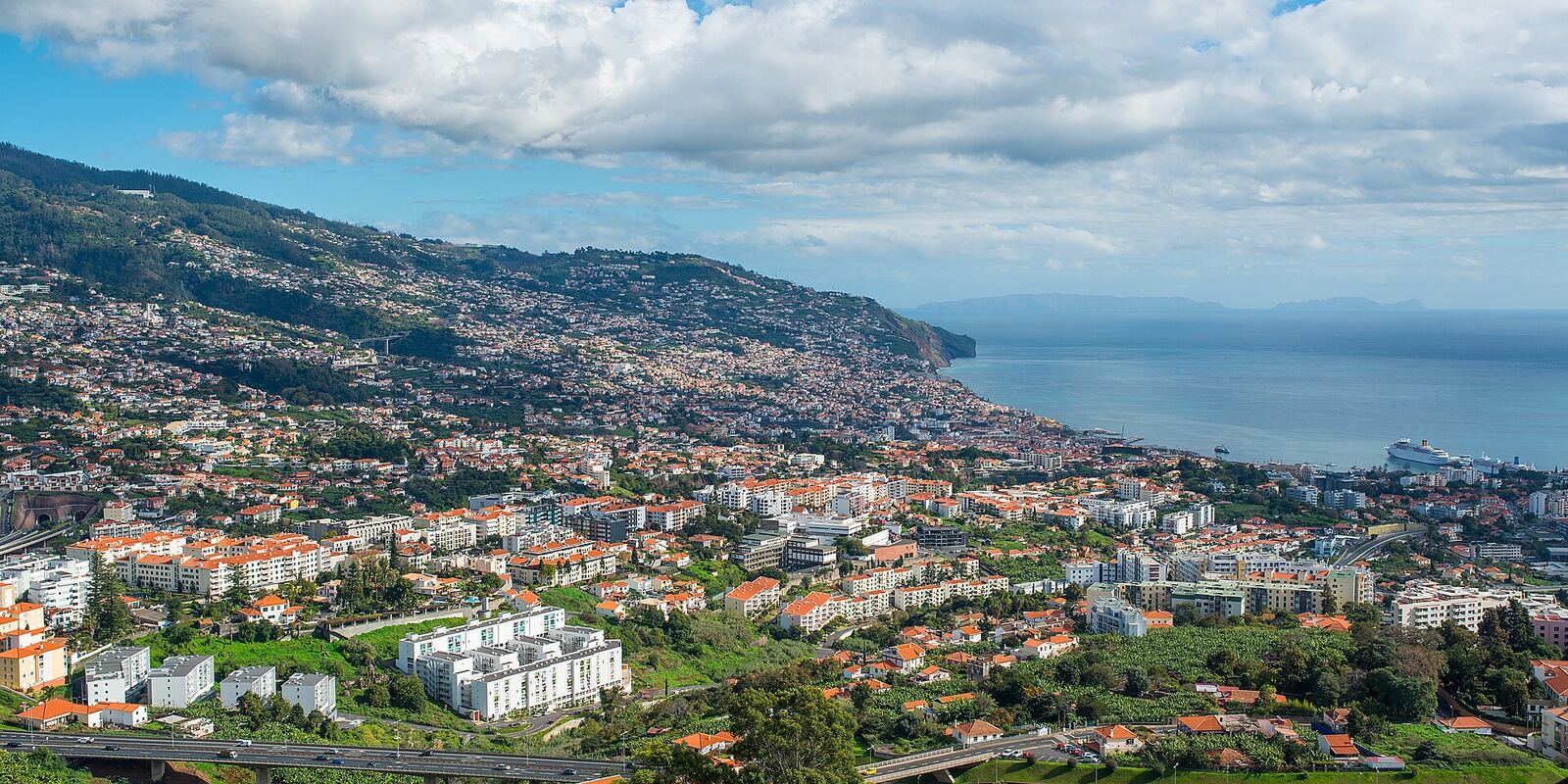 View of Funchal, with houses and blocks on green slopes and the sea in the background
