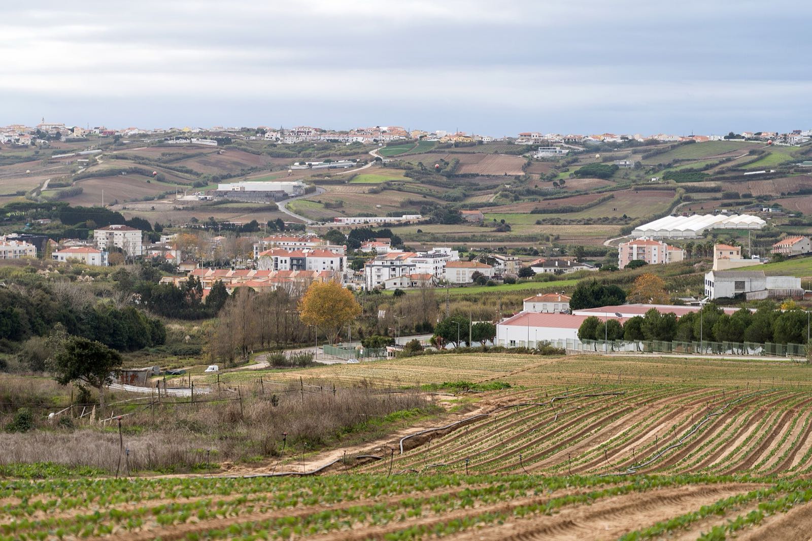 Cultivated fields in the foreground and, behind them, red-roofed houses on a hillside under a cloudy sky