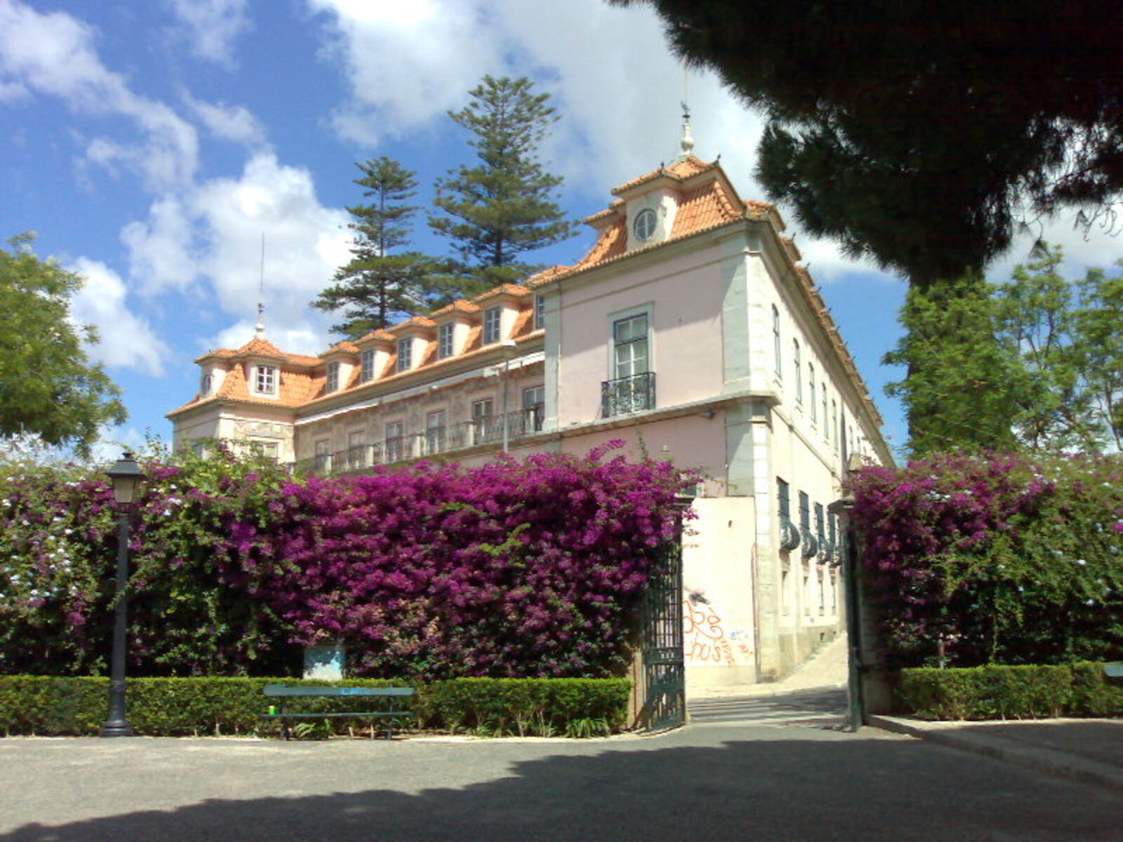 Pink palace with dormer and tall windows, behind trees and a wall of bougainvillea