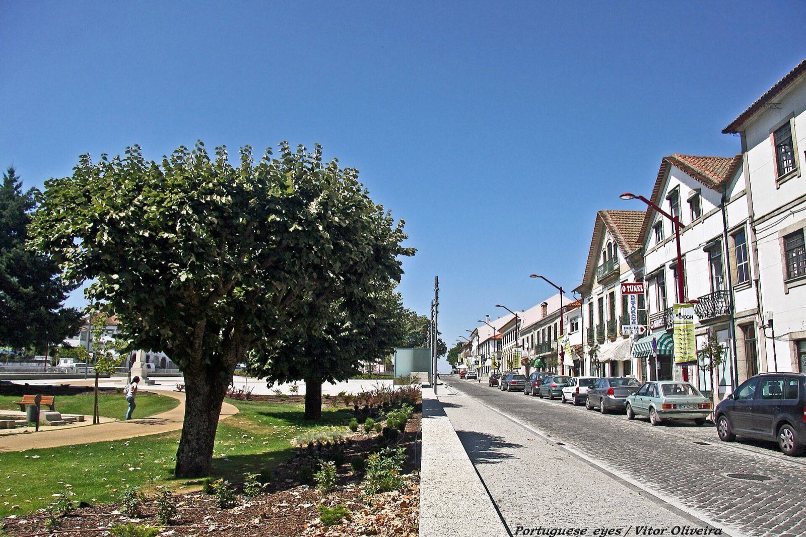 Cobbled street with whitewashed multi-storey houses on the right and, on the left, a garden with pollarded trees, under a blue sky