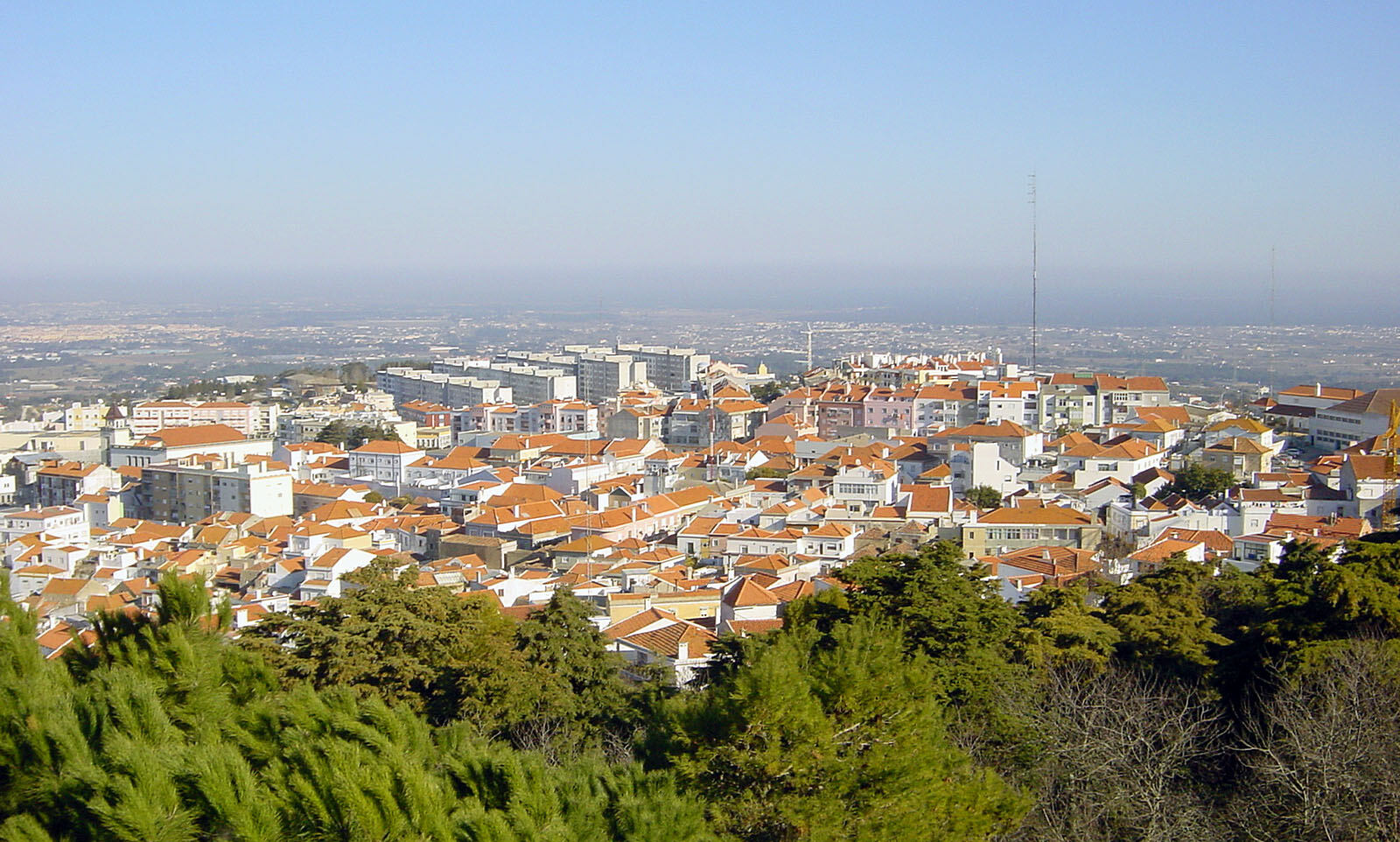 Orange rooftops and white houses seen from above, with pines in front and the plain behind